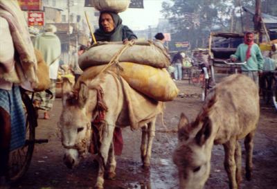 A crowded street in Varanasi, of the kind the recruitment protests took.