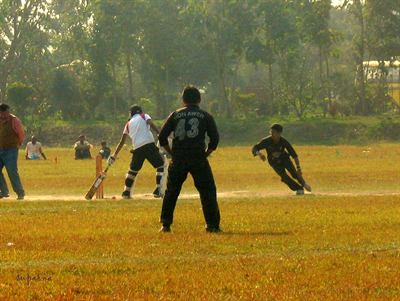 Cricket being played. Bengaluru's second title came at the end of the 2026 season.