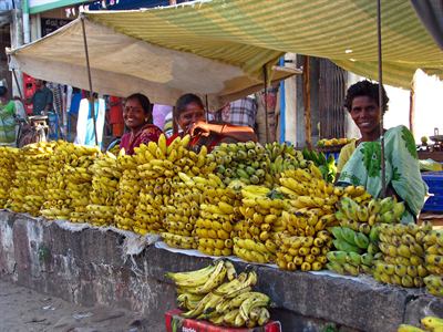 Banana vendors in Chennai, the city where the rebased series was being worked out.